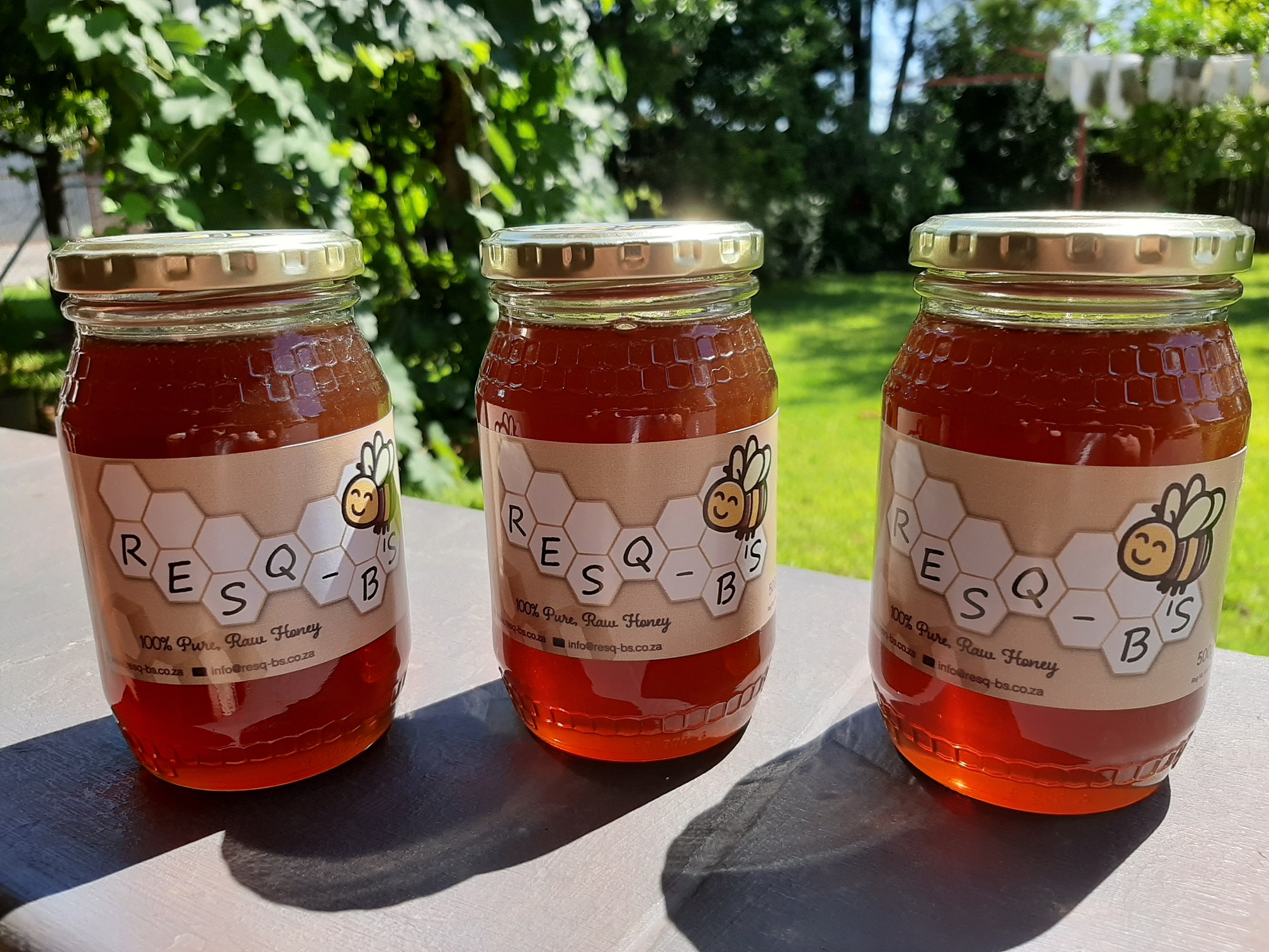 Jars of RESQ-B'S raw honey standing in the sun, deep amber in the light